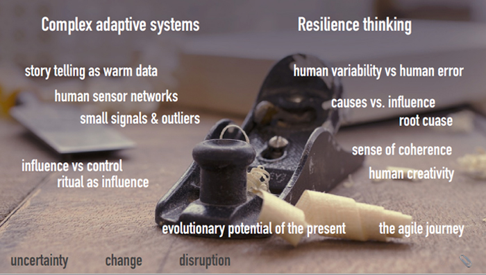 complex-adaptive-systems-resilience-thinking